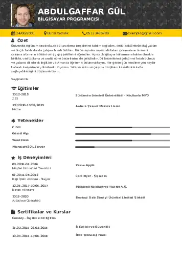 Bilgisayar Programcısı CV Örnekleri cv indir